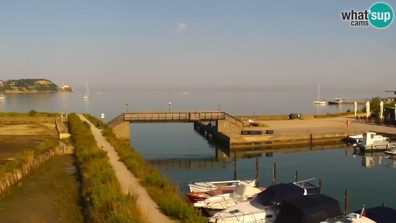 Krajinski park Strunjan v živo