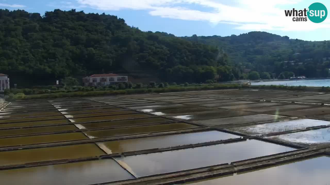 Parco naturale Strugnano
