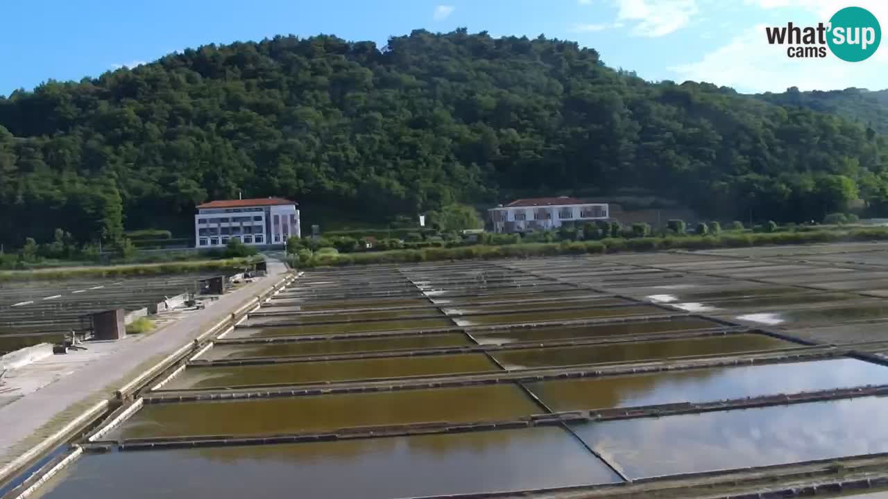 Krajinski park Strunjan