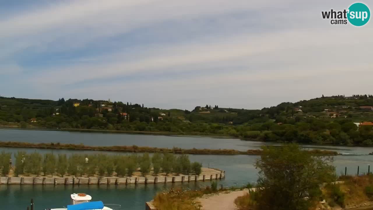 Krajinski park Strunjan v živo