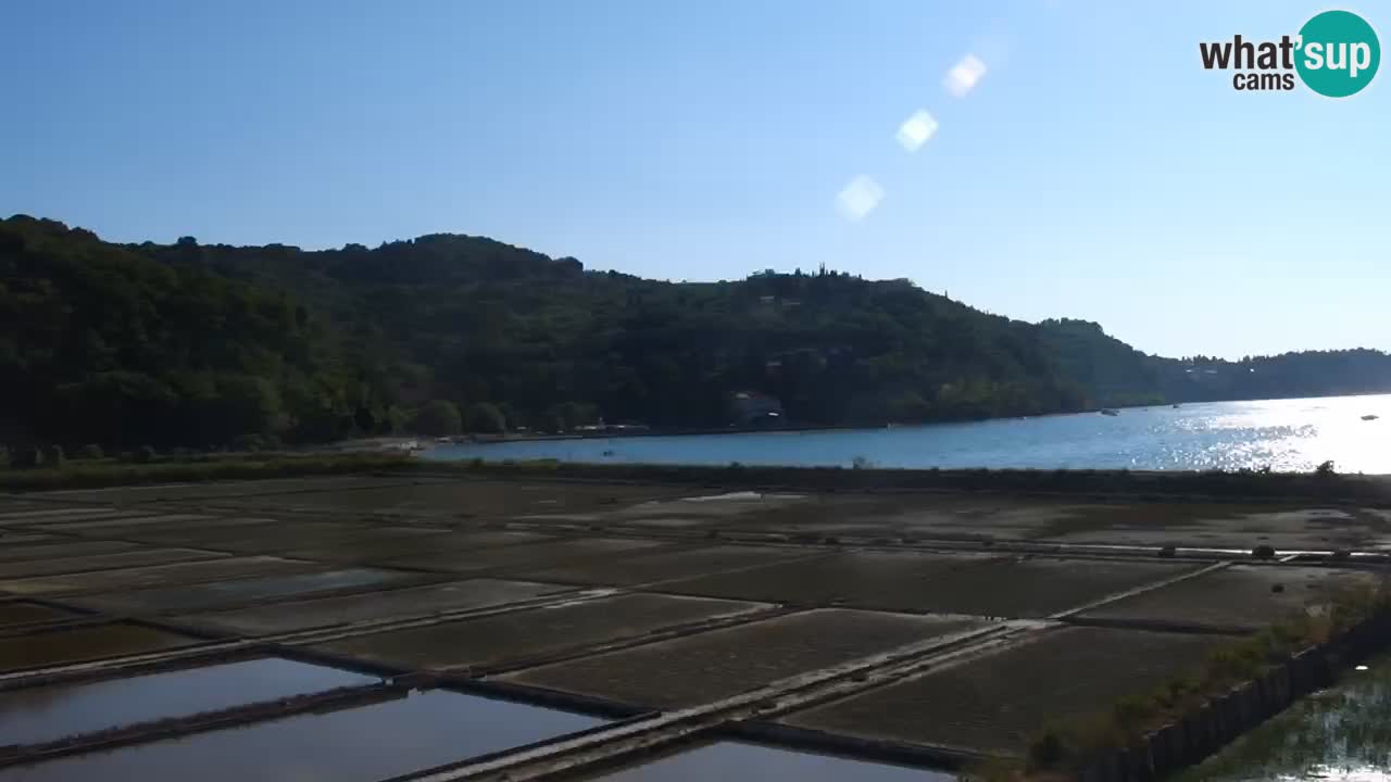 Krajinski park Strunjan