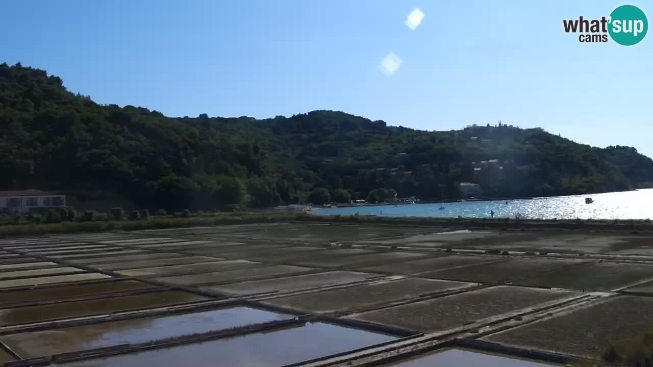 Parco naturale Strugnano