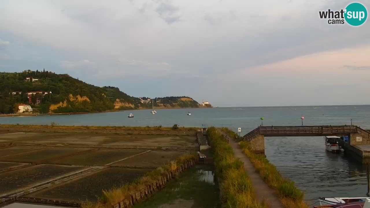 Krajinski park Strunjan