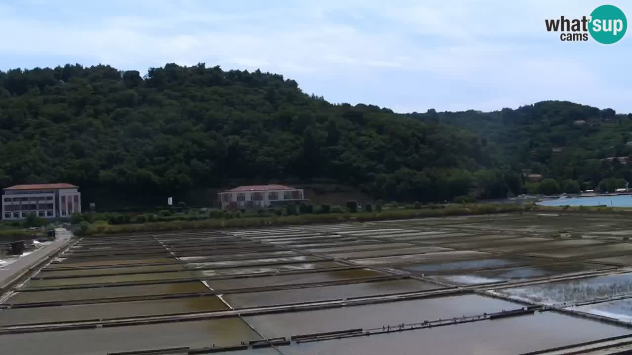 Krajinski park Strunjan