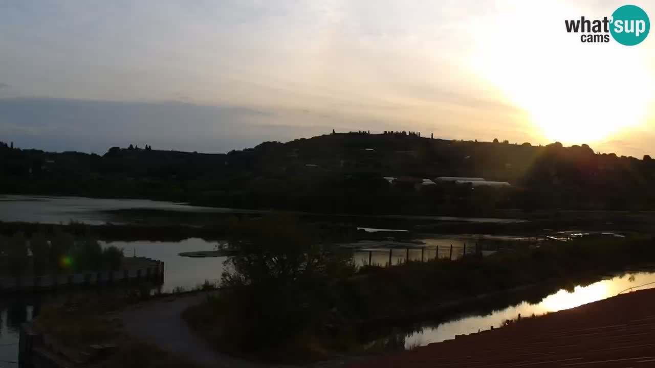 Krajinski park Strunjan u živo