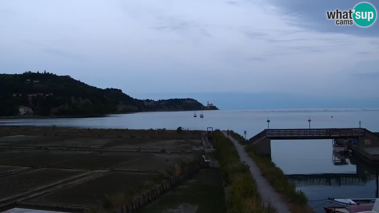 Krajinski park Strunjan v živo