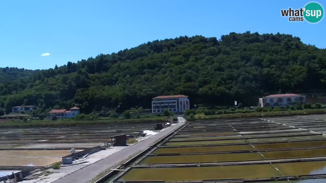 Krajinski park Strunjan