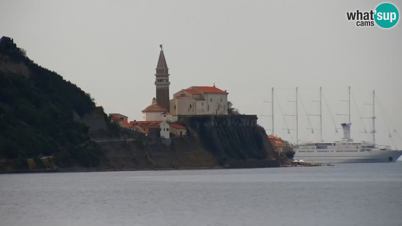 Krajinski park Strunjan u živo