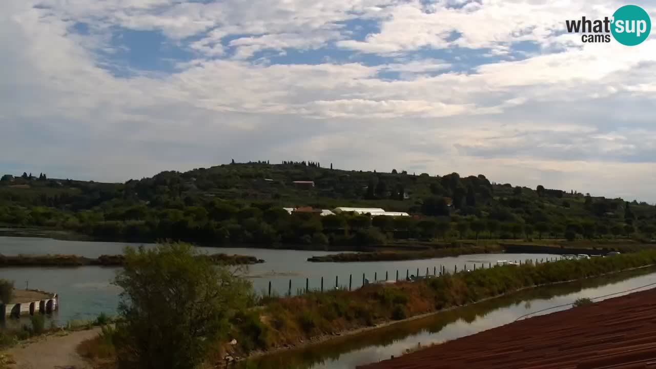 Parco naturale Strugnano
