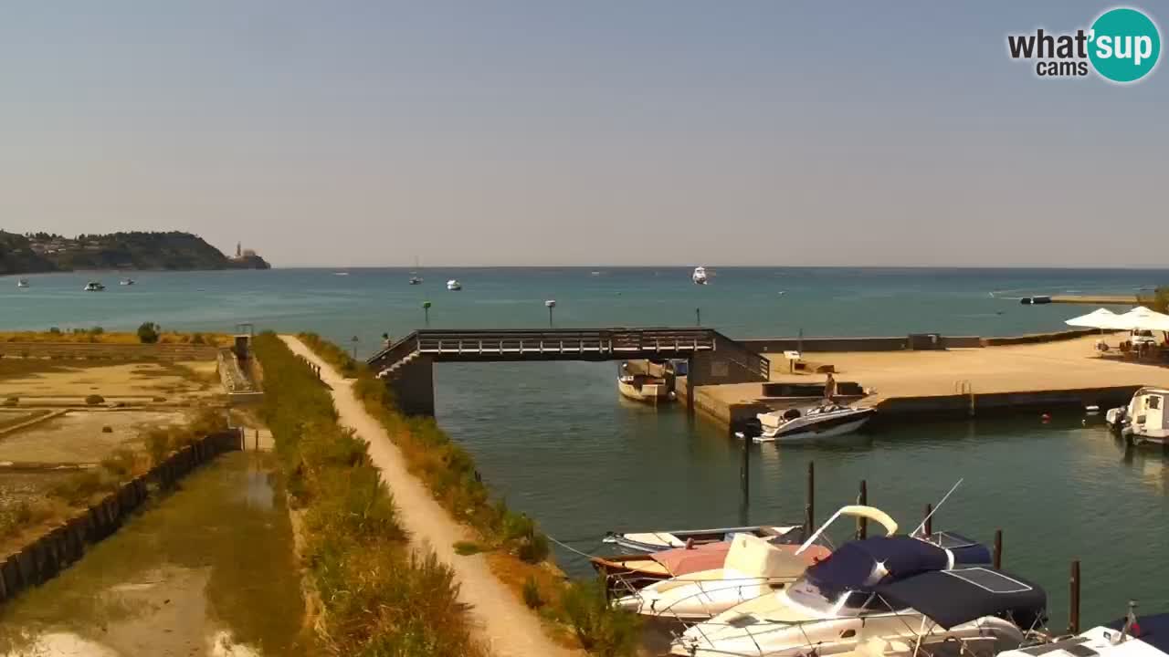 Krajinski park Strunjan