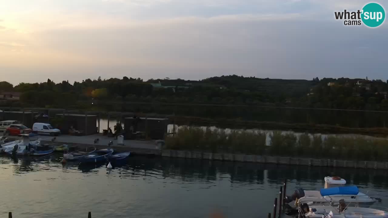 Krajinski park Strunjan v živo