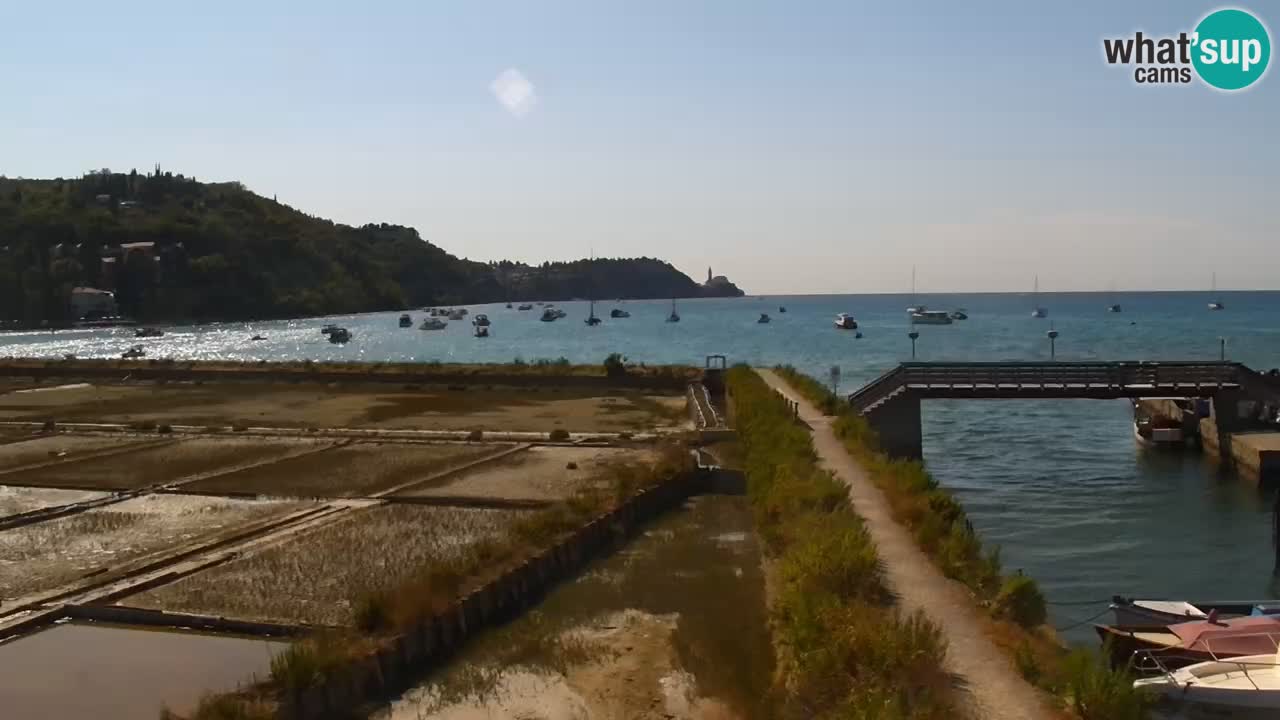 Krajinski park Strunjan u živo