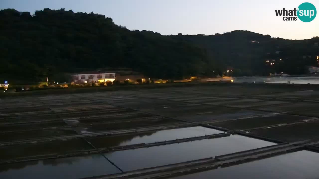 Krajinski park Strunjan u živo