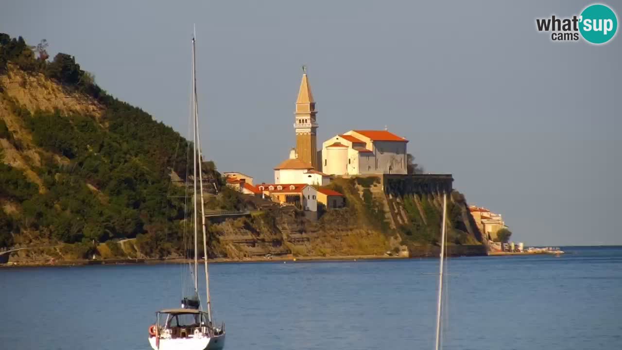 Krajinski park Strunjan u živo