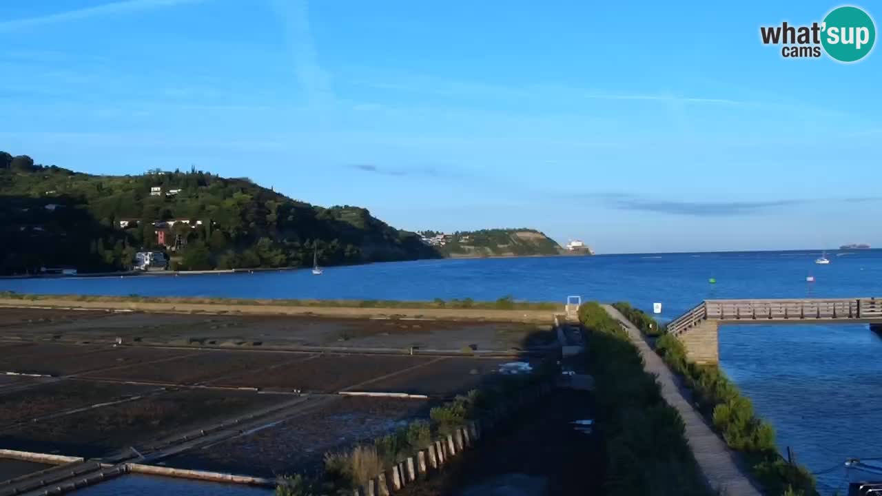 Krajinski park Strunjan