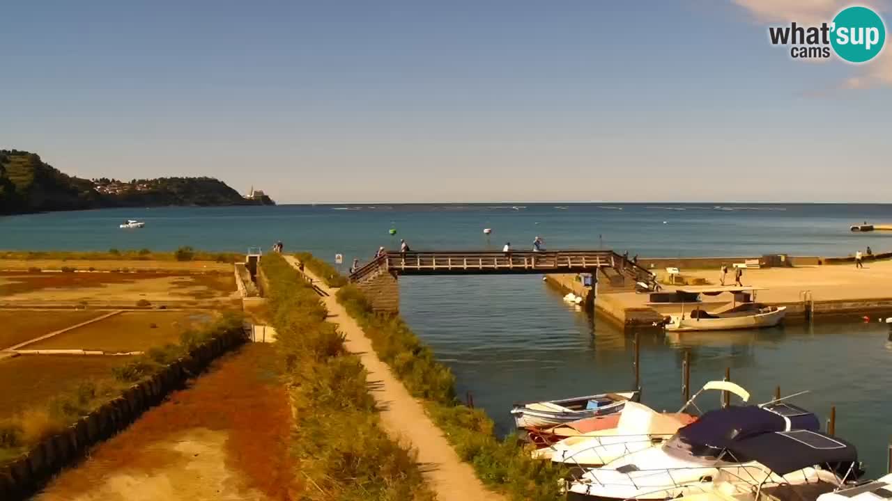 Krajinski park Strunjan u živo