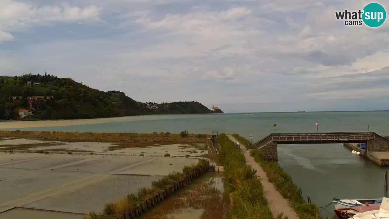 Krajinski park Strunjan