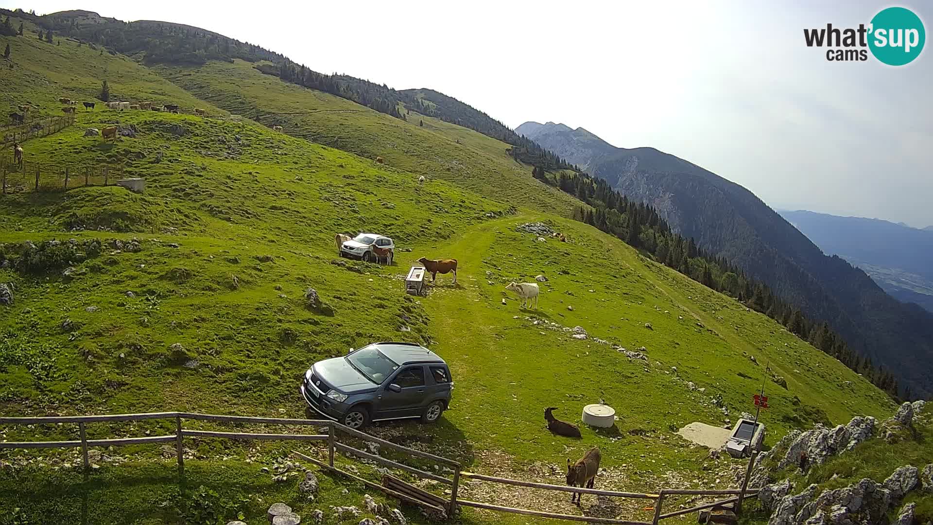 Struška nad Jesenicami Live webcam planina Svečica (Belška planina) – Karavanke – Slovenia