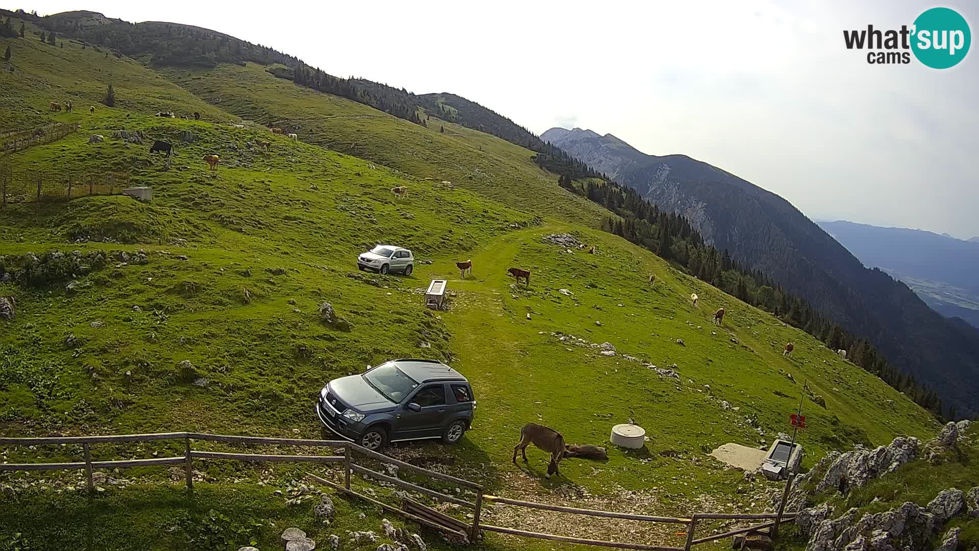 Struška nad Jesenicami Live webcam planina Svečica (Belška planina) – Karavanke – Slovenia