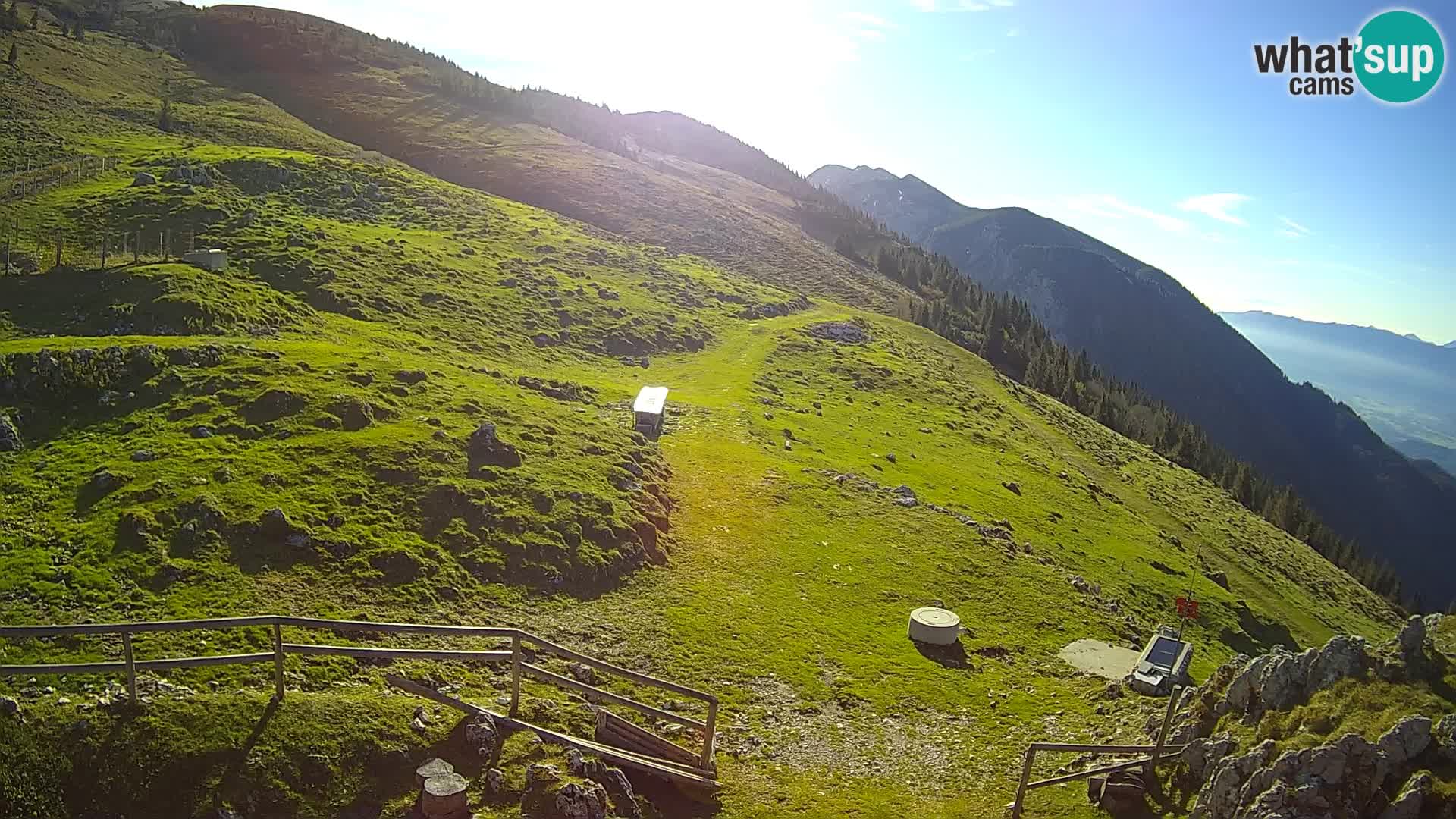 Struška nad Jesenicami Livecam planina Svečica (Belška planina) – Karavanke – Slowenien