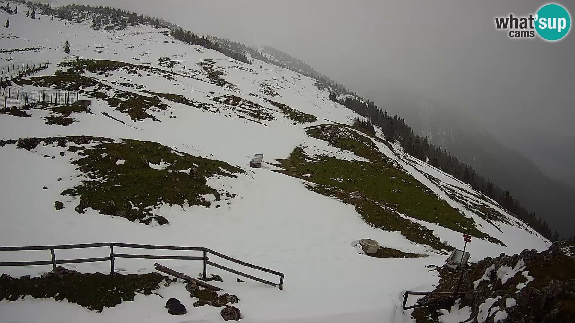 Struška nad Jesenicami web kamera planina Svečica (Belška planina) – Karavanke – Slovenija