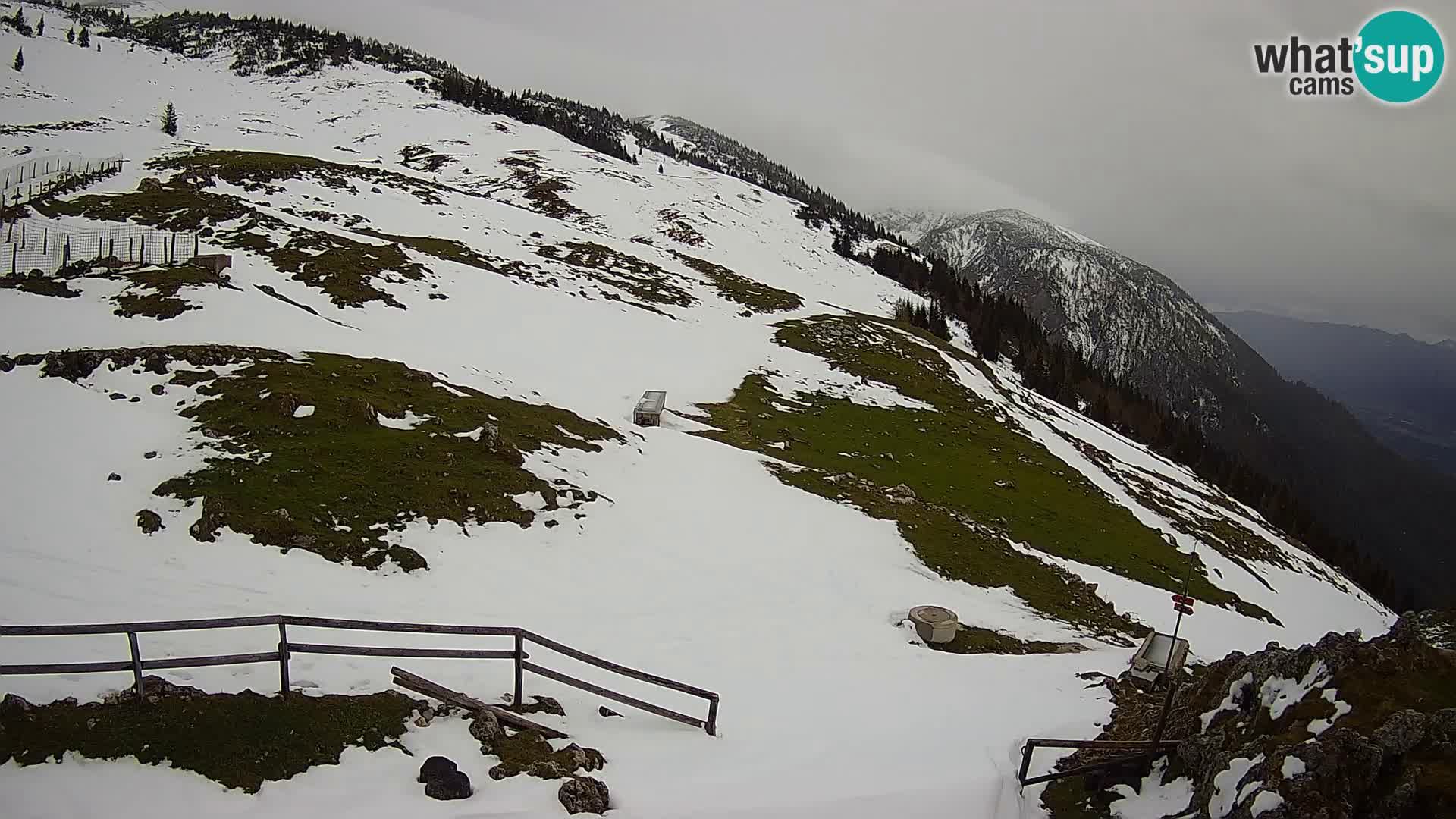 Struška nad Jesenicami camera en vivo planina Svečica (Belška planina) – Karavanke – Eslovenia