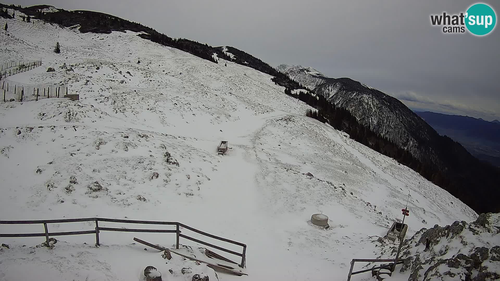 Struška nad Jesenicami Livecam planina Svečica (Belška planina) – Karavanke – Slowenien