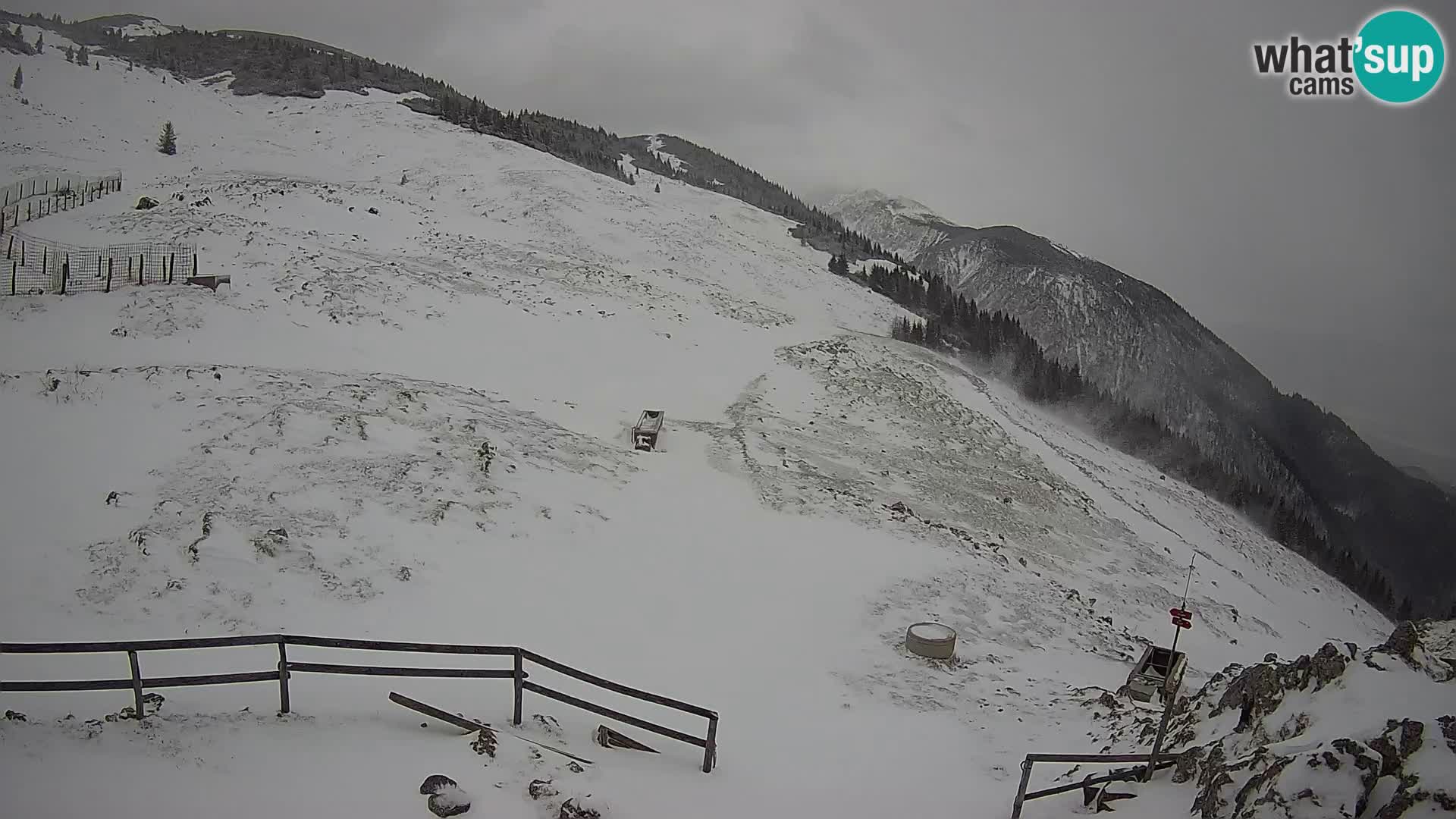 Struška nad Jesenicami spletna kamera planina Svečica (Belška planina) – Karavanke