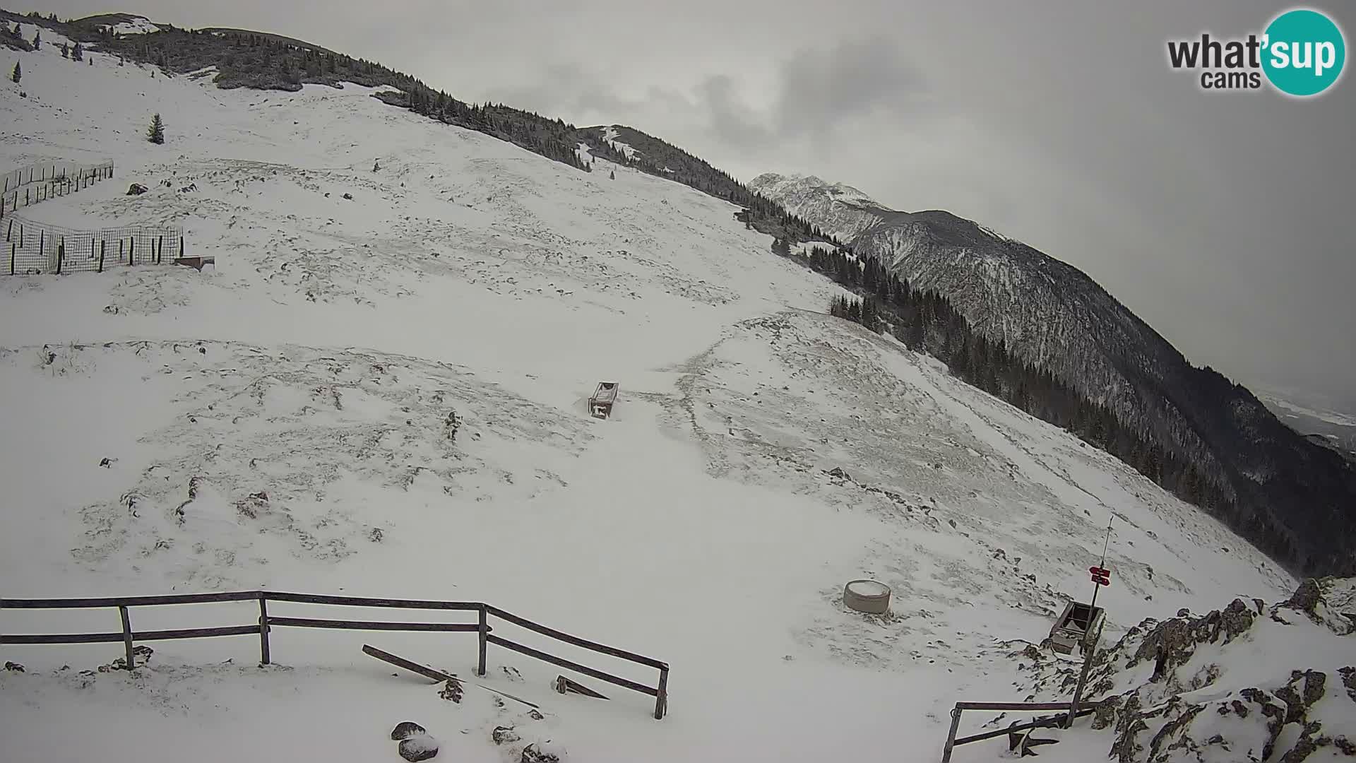 Struška nad Jesenicami camera en vivo planina Svečica (Belška planina) – Karavanke – Eslovenia