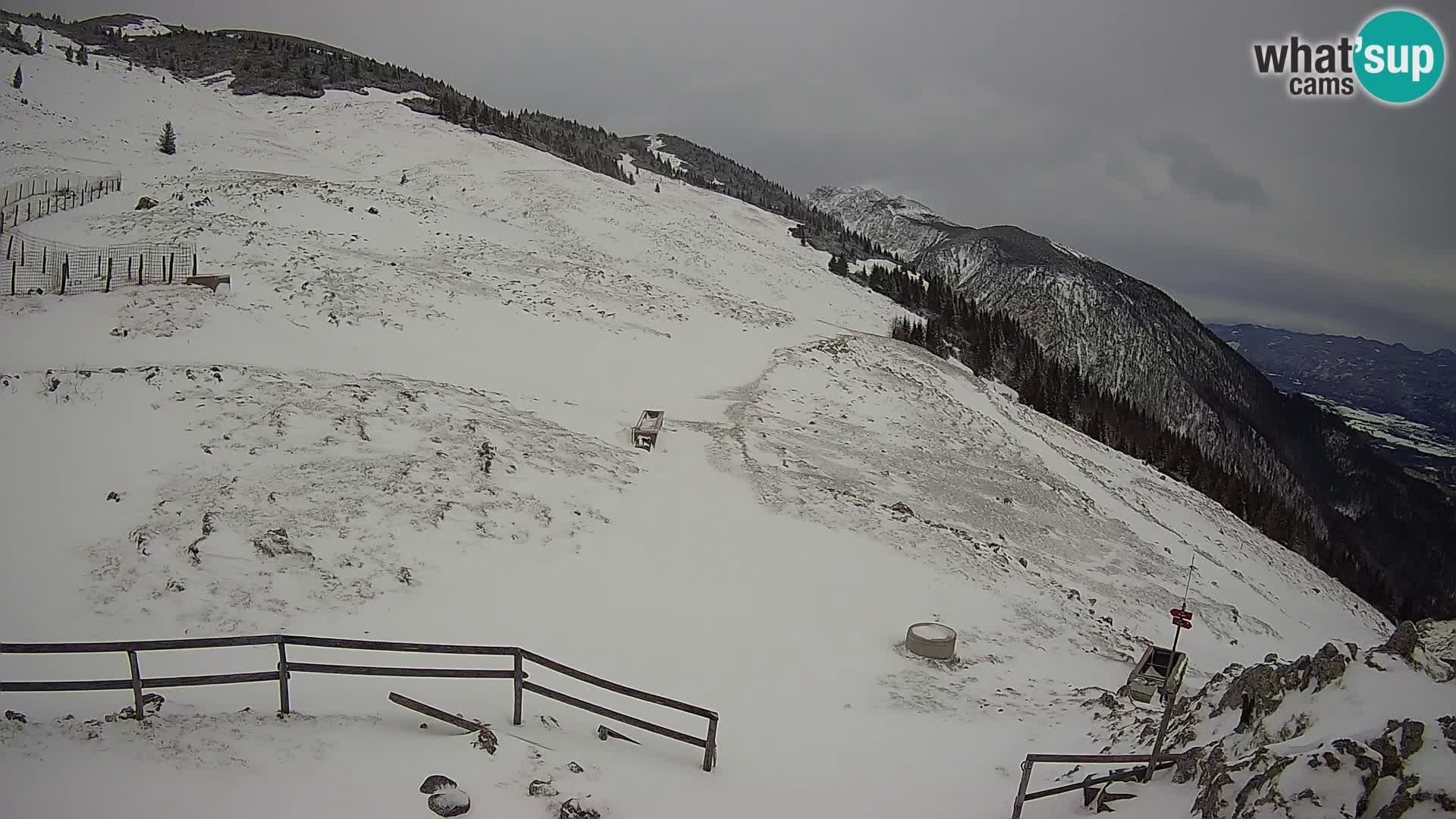 Struška nad Jesenicami spletna kamera planina Svečica (Belška planina) – Karavanke