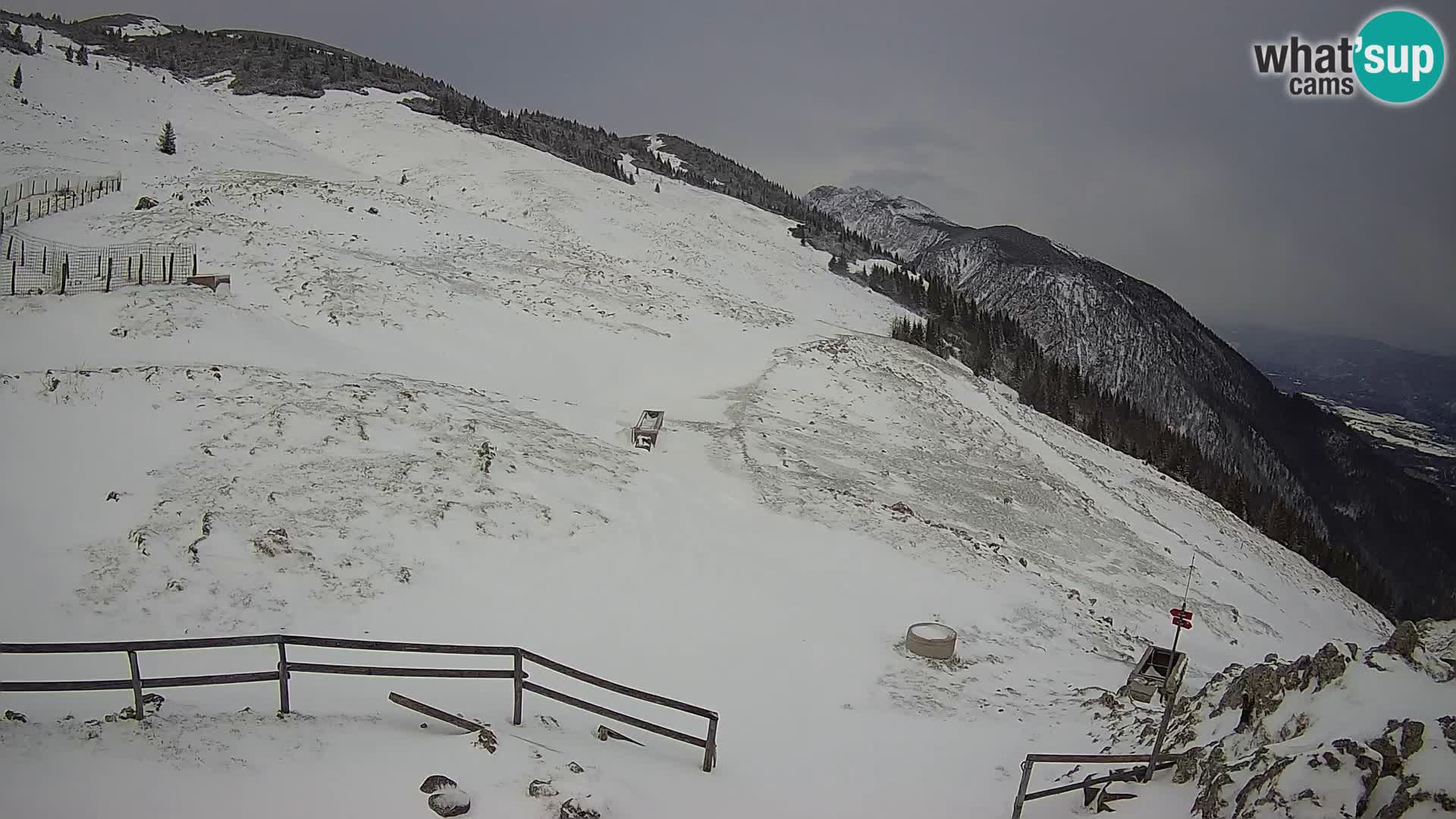 Struška nad Jesenicami Livecam planina Svečica (Belška planina) – Karavanke – Slowenien