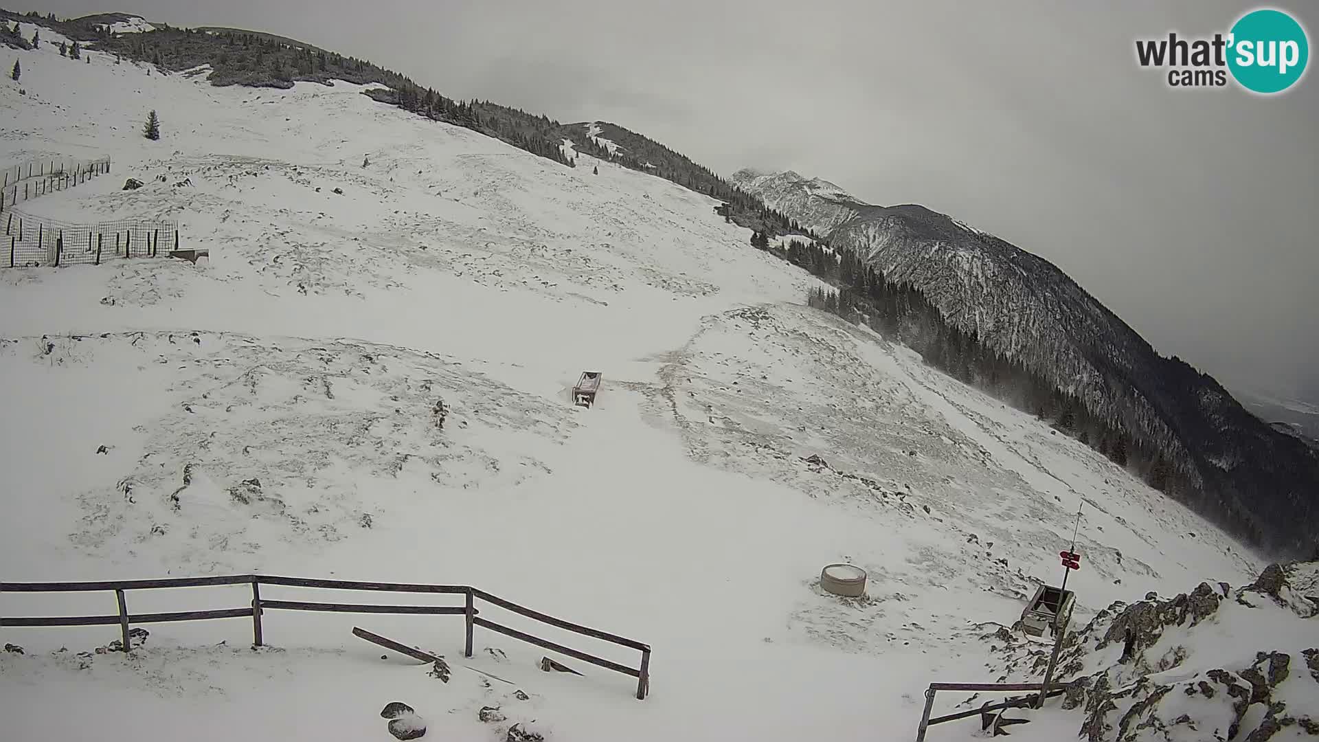 Struška nad Jesenicami Livecam planina Svečica (Belška planina) – Karavanke – Slowenien