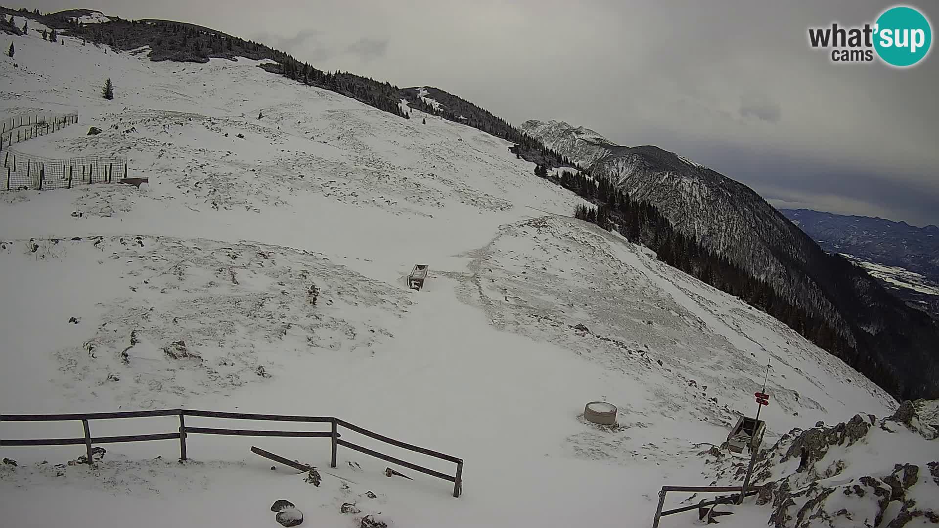 Struška nad Jesenicami Livecam planina Svečica (Belška planina) – Karavanke – Slowenien