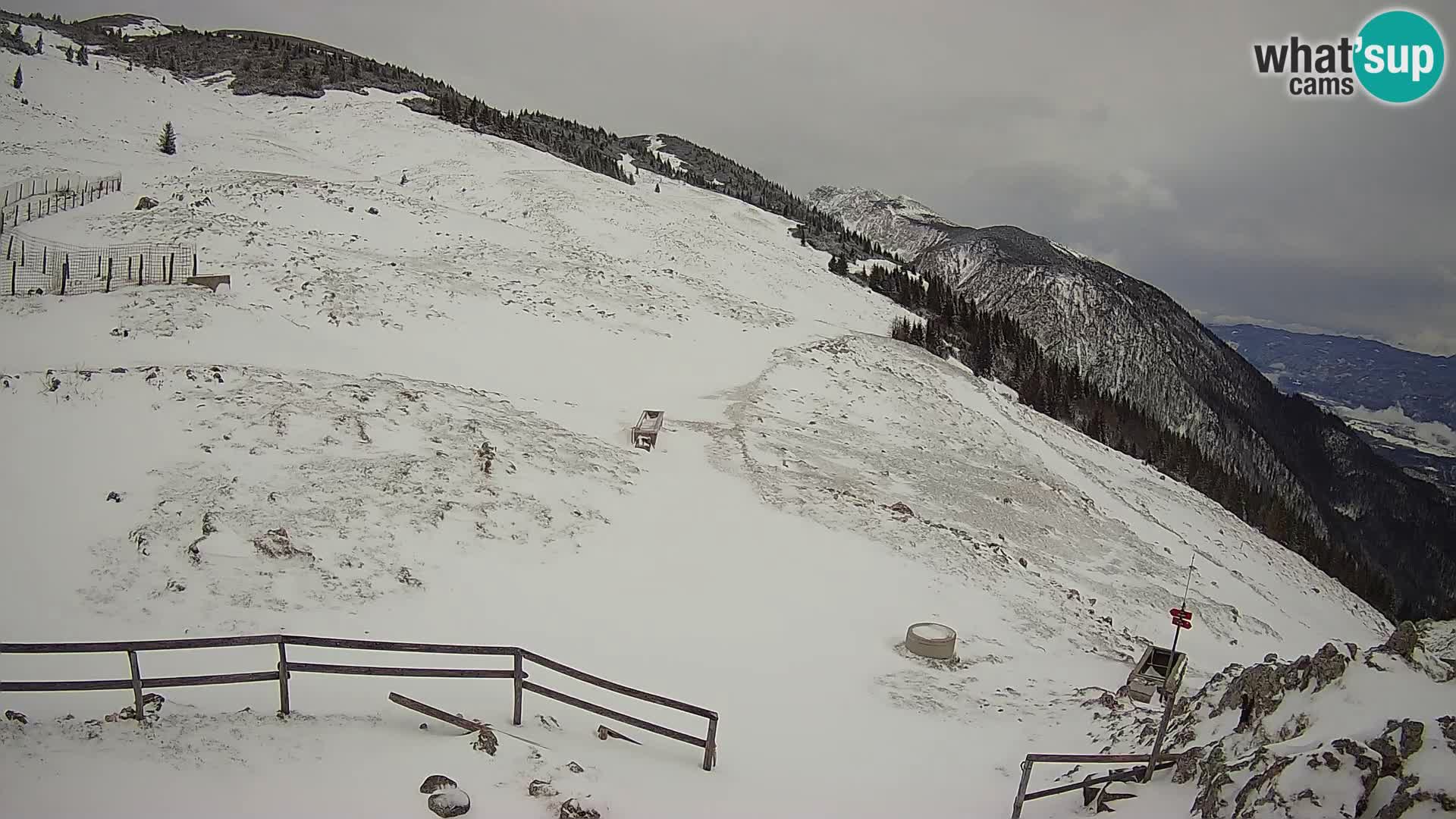 Struška nad Jesenicami Livecam planina Svečica (Belška planina) – Karavanke – Slowenien