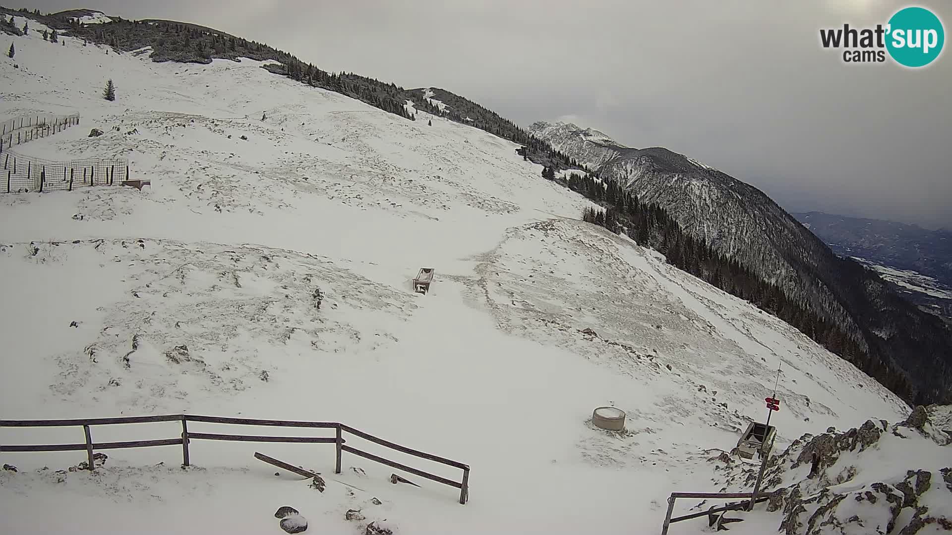 Struška nad Jesenicami web kamera planina Svečica (Belška planina) – Karavanke – Slovenija