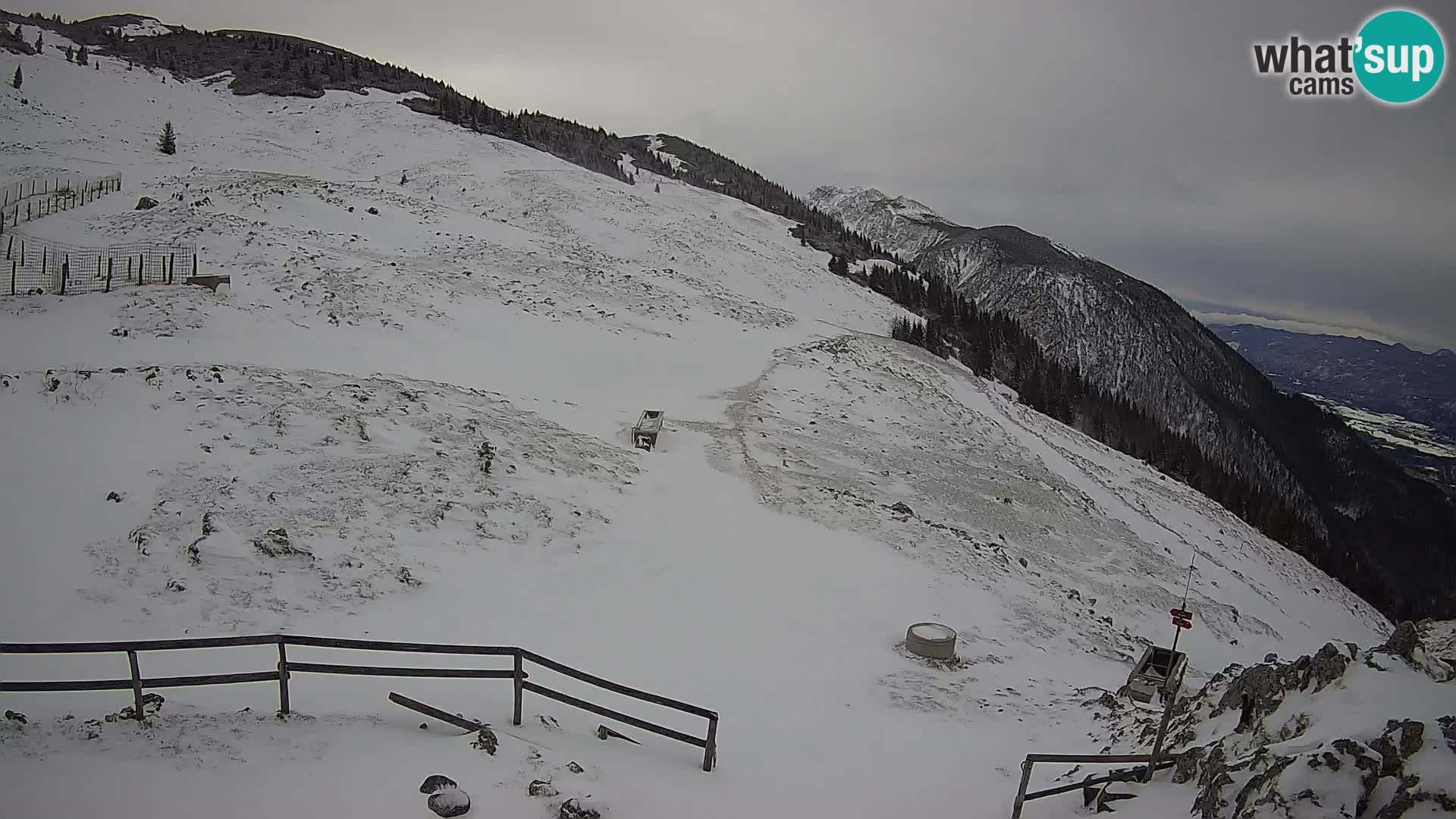 Struška nad Jesenicami camera en vivo planina Svečica (Belška planina) – Karavanke – Eslovenia