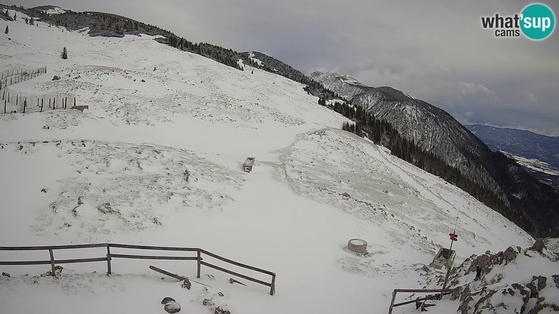 Struška nad Jesenicami Livecam planina Svečica (Belška planina) – Karavanke – Slowenien