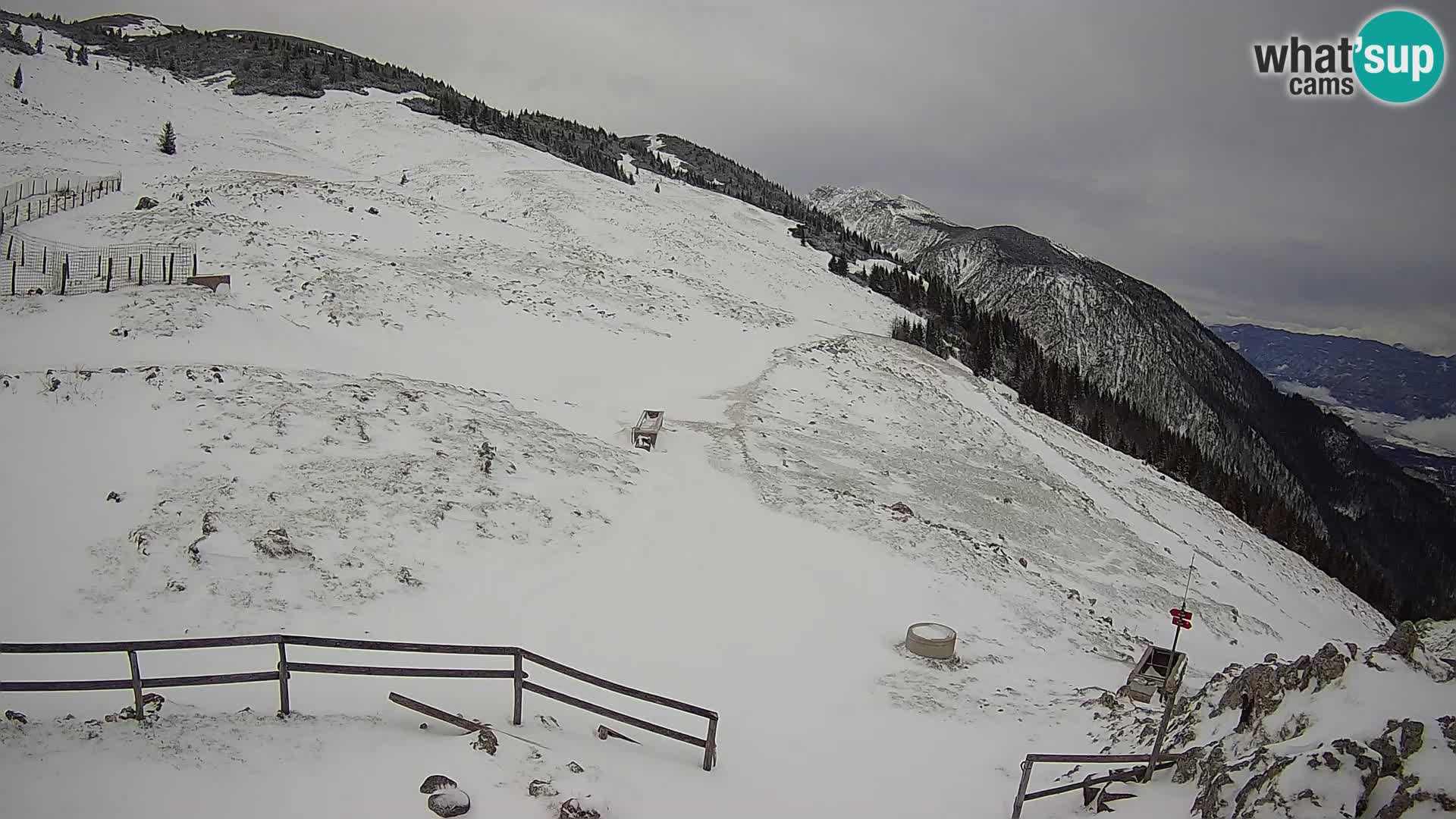 Struška nad Jesenicami spletna kamera planina Svečica (Belška planina) – Karavanke