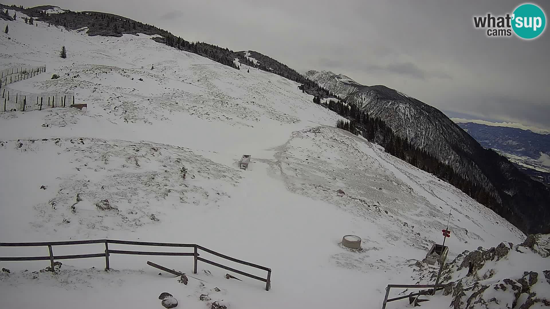 Struška nad Jesenicami Livecam planina Svečica (Belška planina) – Karavanke – Slowenien