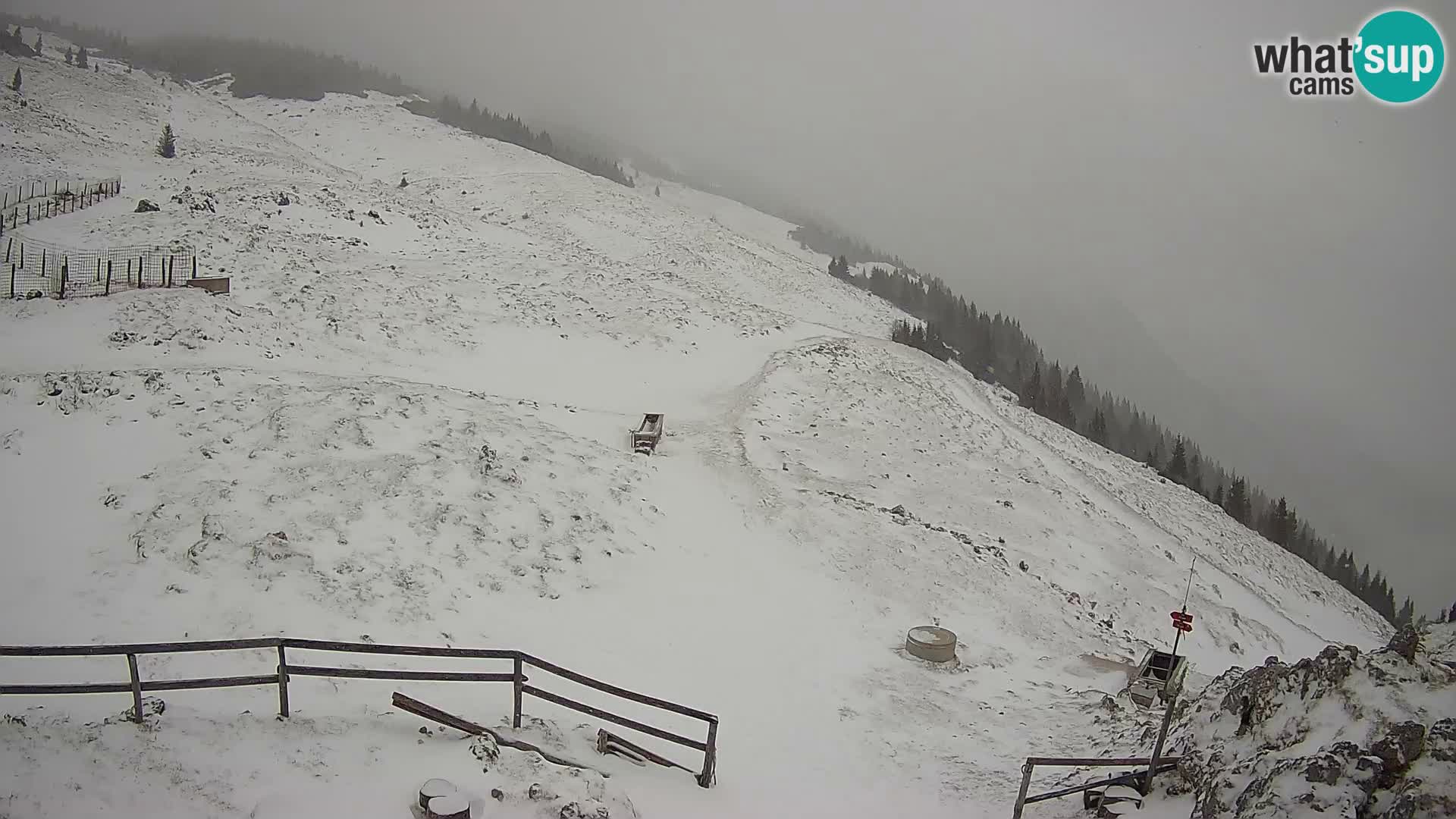 Struška nad Jesenicami Livecam planina Svečica (Belška planina) – Karavanke – Slowenien