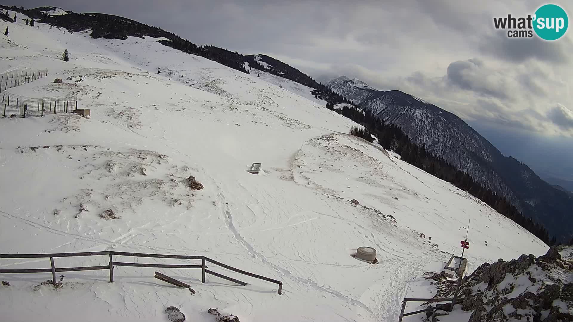 Struška nad Jesenicami Livecam planina Svečica (Belška planina) – Karavanke – Slowenien