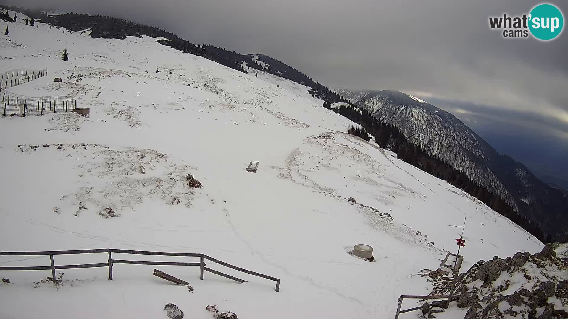 Struška nad Jesenicami spletna kamera planina Svečica (Belška planina) – Karavanke