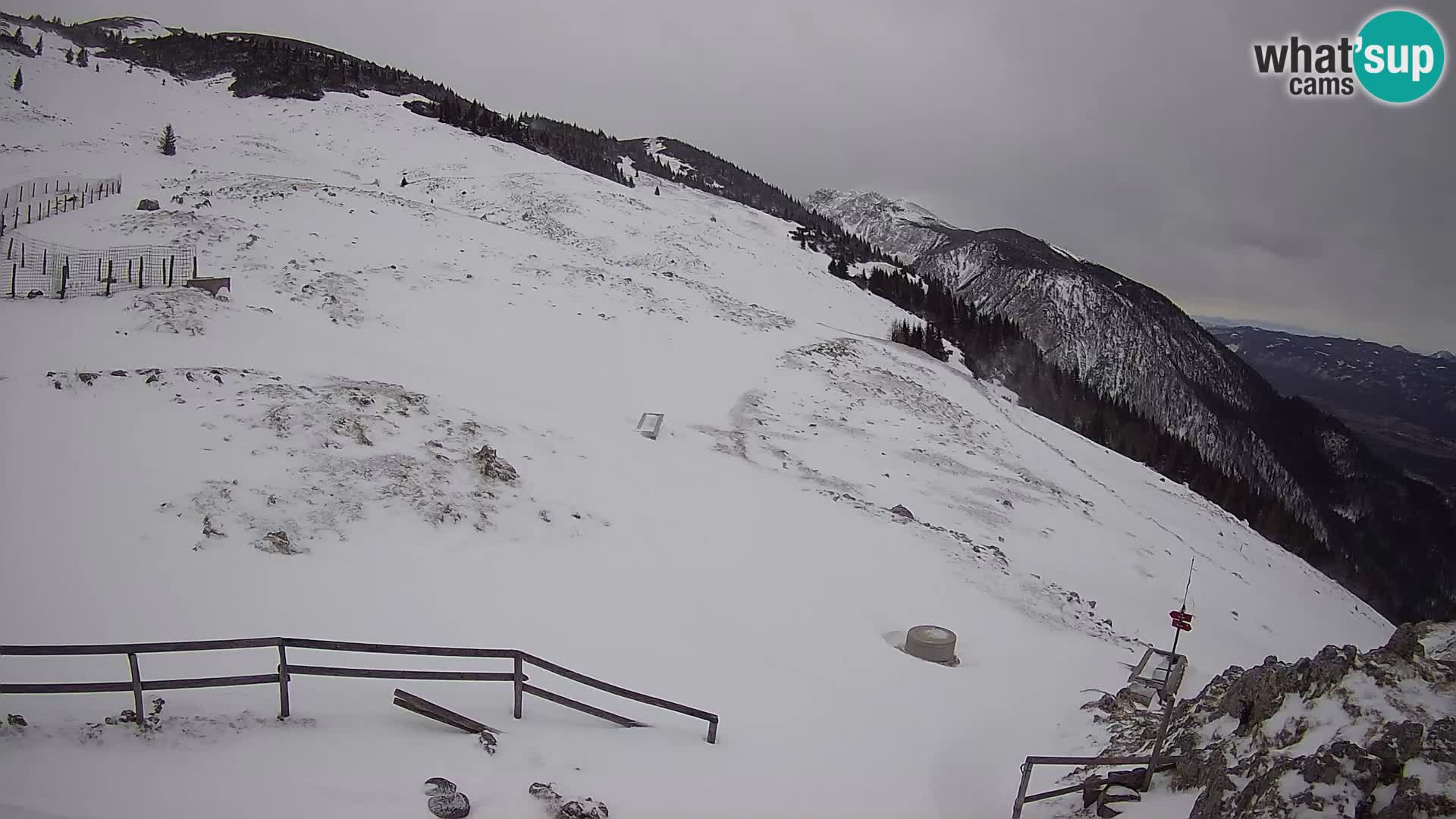 Struška nad Jesenicami camera en vivo planina Svečica (Belška planina) – Karavanke – Eslovenia