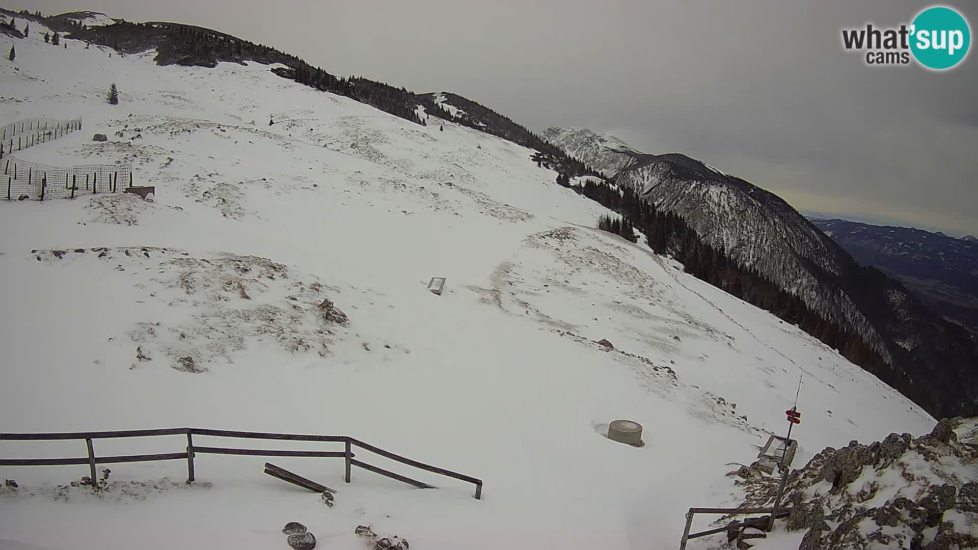 Struška nad Jesenicami camera en vivo planina Svečica (Belška planina) – Karavanke – Eslovenia