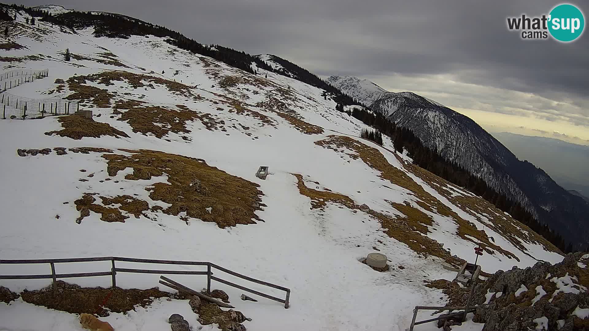 Struška nad Jesenicami Live webcam planina Svečica (Belška planina) – Karavanke – Slovenia