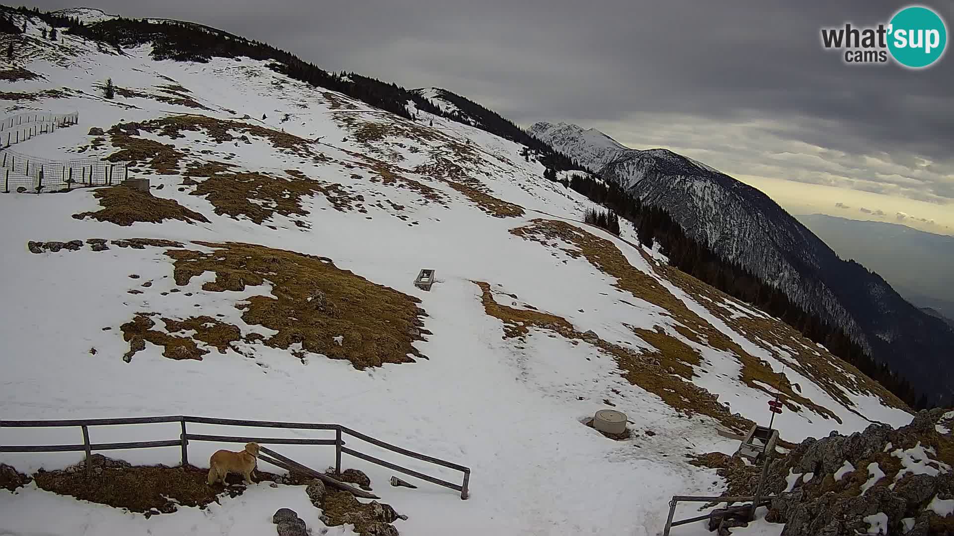 Struška nad Jesenicami Livecam planina Svečica (Belška planina) – Karavanke – Slowenien