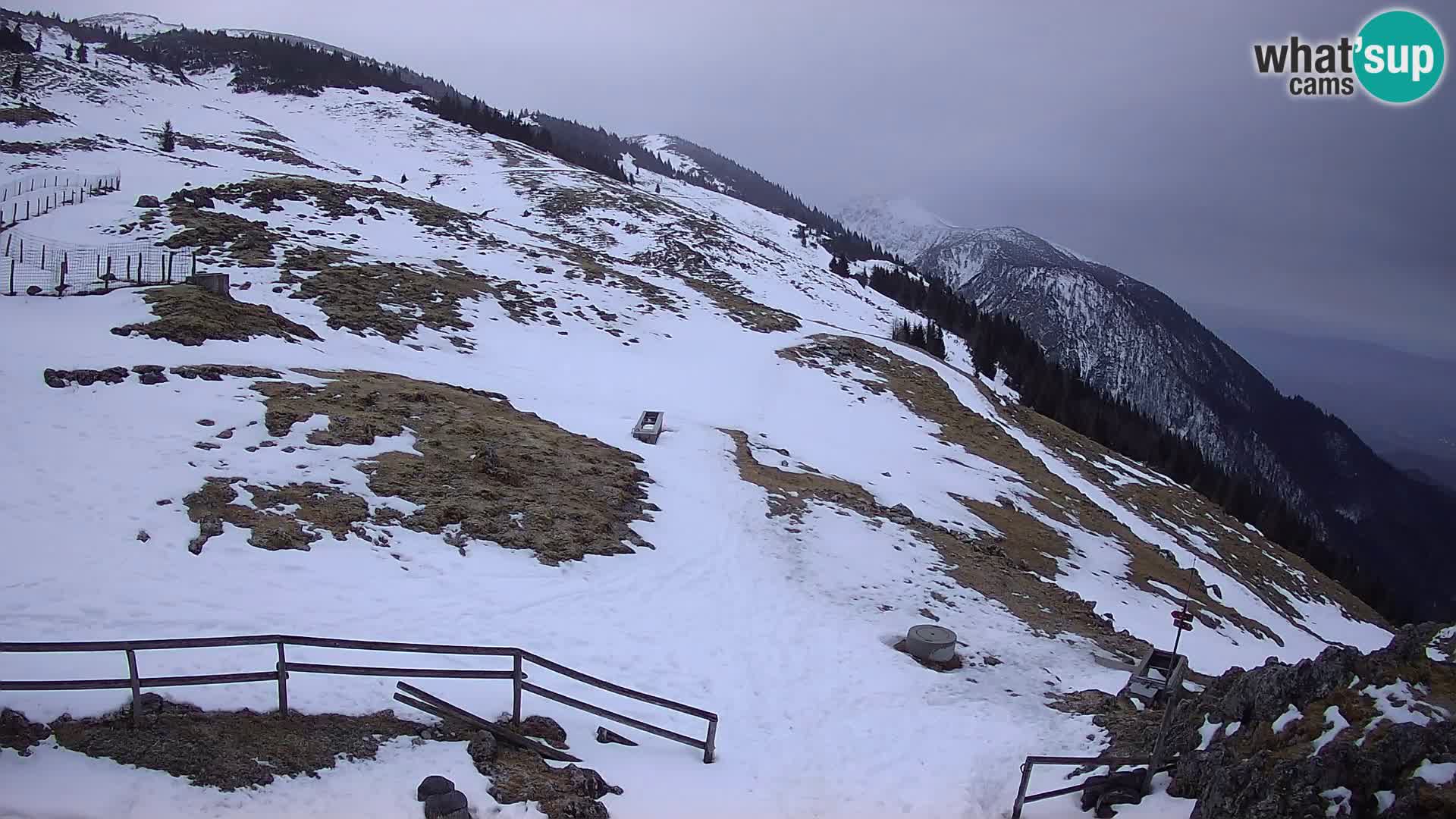 Struška nad Jesenicami spletna kamera planina Svečica (Belška planina) – Karavanke