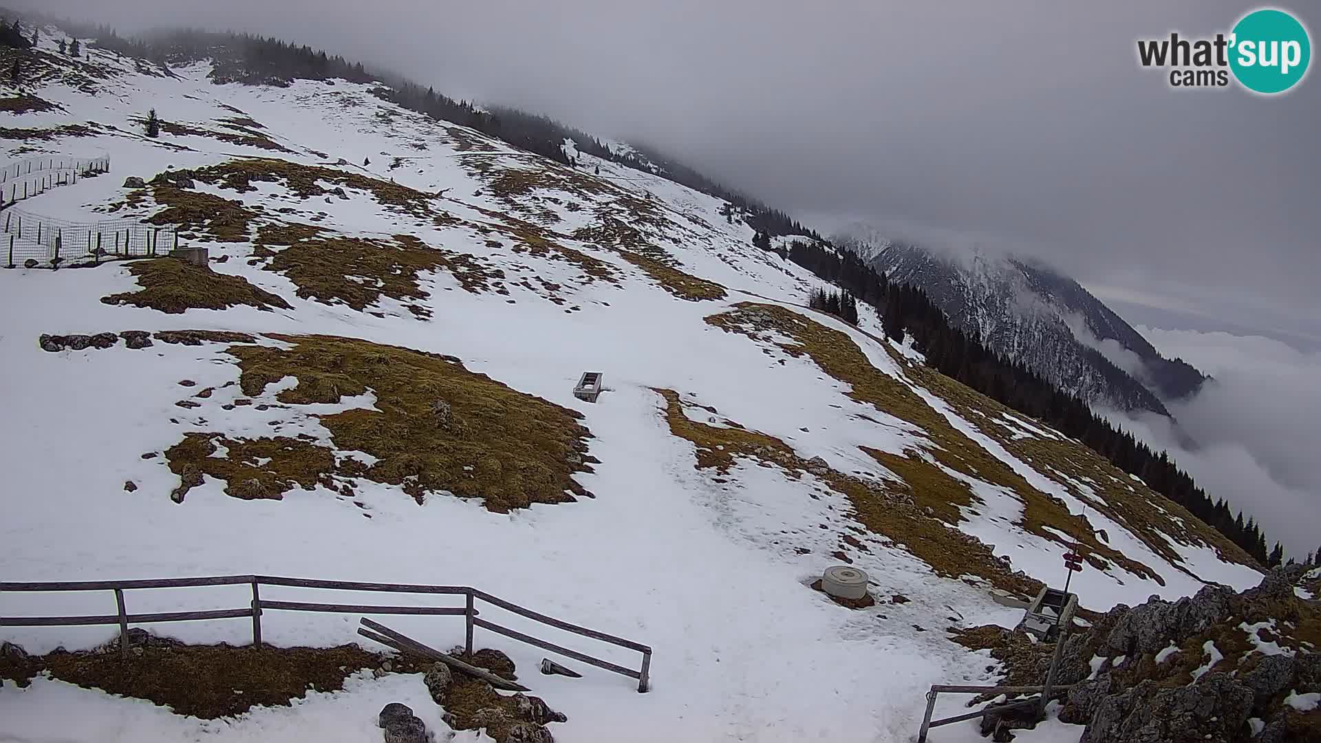 Struška nad Jesenicami web kamera planina Svečica (Belška planina) – Karavanke – Slovenija