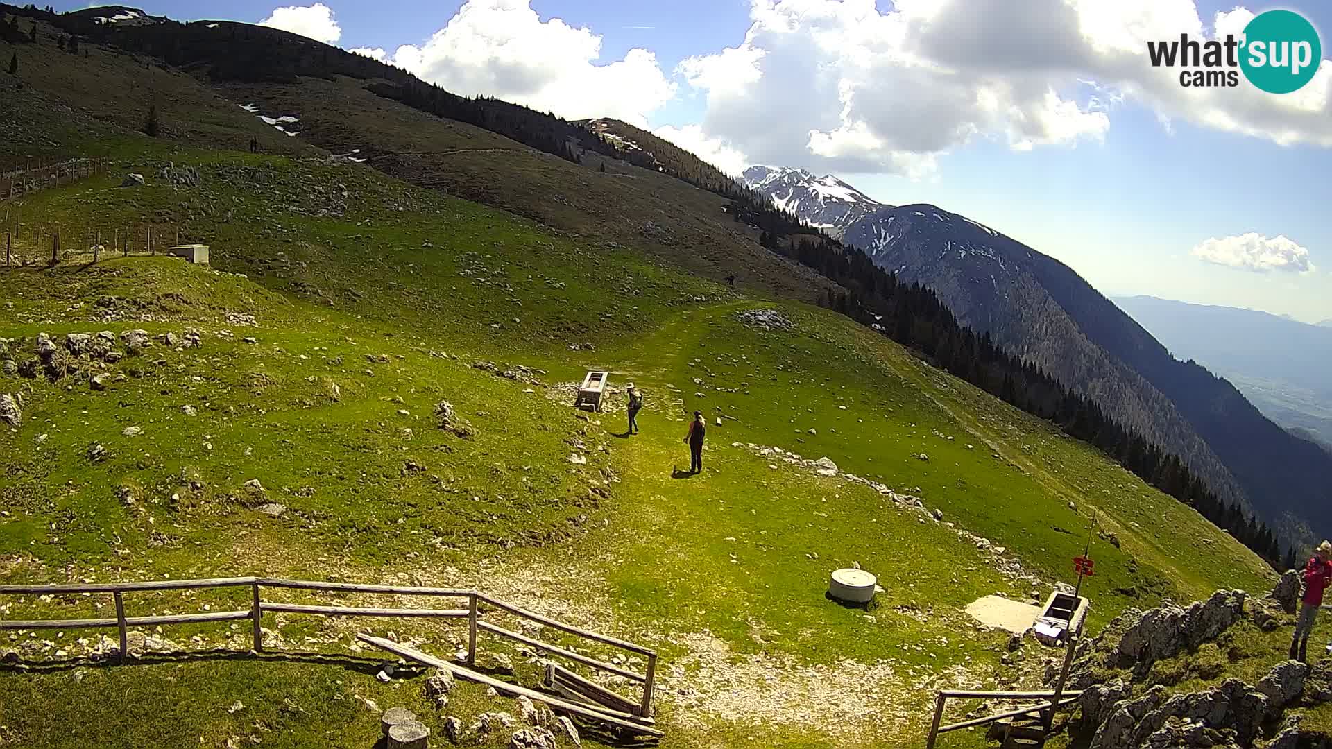 Struška nad Jesenicami Livecam planina Svečica (Belška planina) – Karavanke – Slowenien