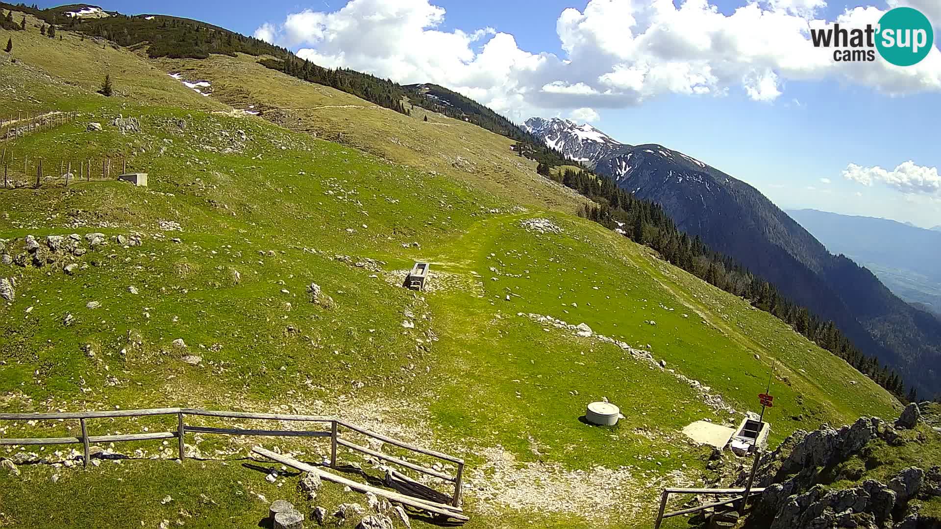 Struška nad Jesenicami camera en vivo planina Svečica (Belška planina) – Karavanke – Eslovenia